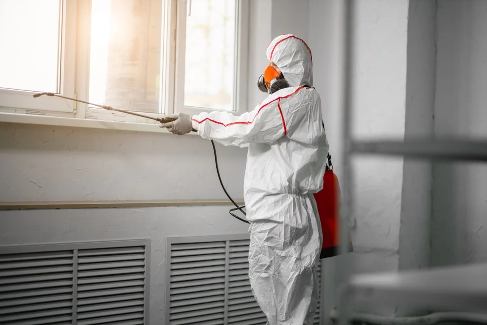 Professional mold remediation services in Mapleton, MN